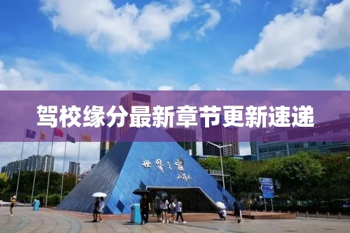 驾校缘分最新章节更新速递