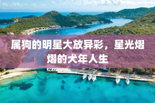 属狗的明星大放异彩，星光熠熠的犬年人生