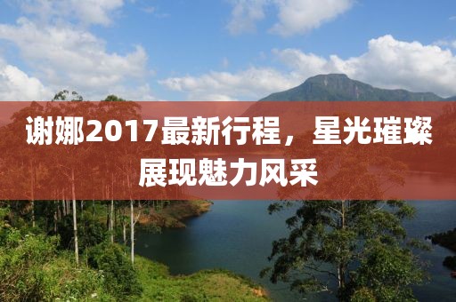 谢娜2017最新行程，星光璀璨展现魅力风采