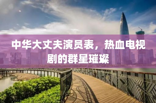 中华大丈夫演员表，热血电视剧的群星璀璨