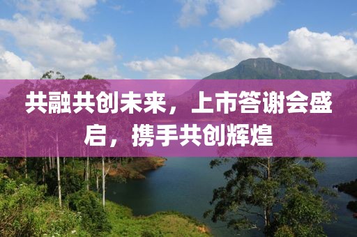 共融共创未来，上市答谢会盛启，携手共创辉煌