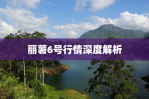 丽薯6号行情深度解析