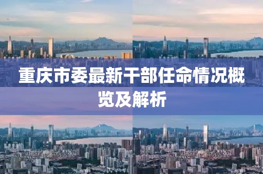 重庆市委最新干部任命情况概览及解析