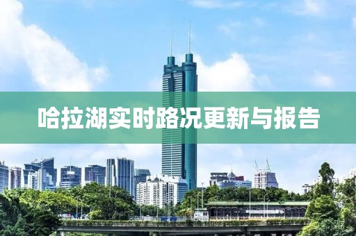 哈拉湖实时路况更新与报告