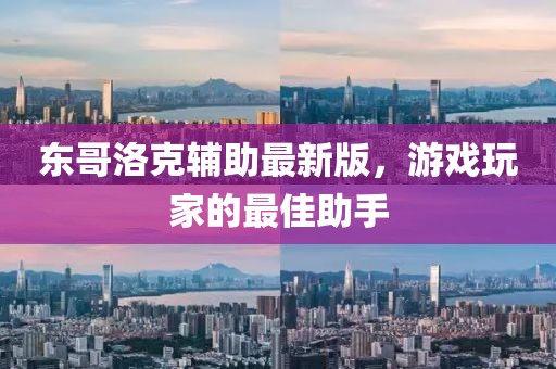 东哥洛克辅助最新版，游戏玩家的最佳助手