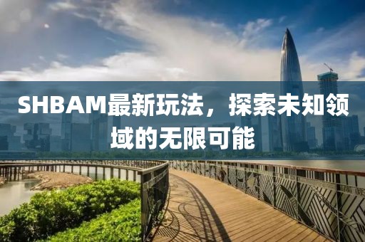 SHBAM最新玩法，探索未知领域的无限可能