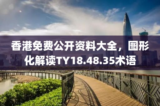 香港免费公开资料大全，图形化解读TY18.48.35术语
