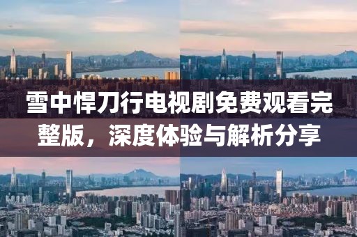 雪中悍刀行电视剧免费观看完整版，深度体验与解析分享