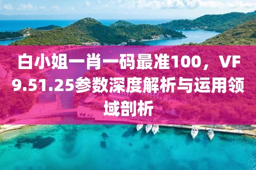 白小姐一肖一码最准100，VF9.51.25参数深度解析与运用领域剖析