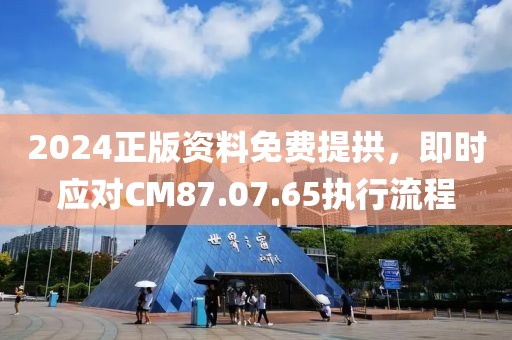 2024正版资料免费提拱，即时应对CM87.07.65执行流程