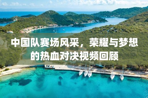 中国队赛场风采，荣耀与梦想的热血对决视频回顾
