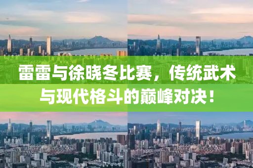 雷雷与徐晓冬比赛，传统武术与现代格斗的巅峰对决！