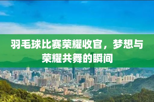 羽毛球比赛荣耀收官，梦想与荣耀共舞的瞬间