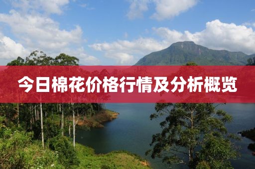 今日棉花价格行情及分析概览