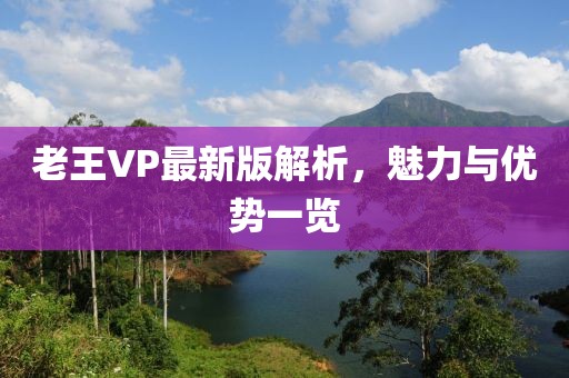 老王VP最新版解析，魅力与优势一览