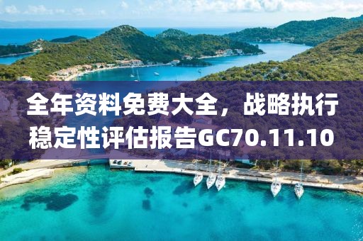 全年资料免费大全，战略执行稳定性评估报告GC70.11.10