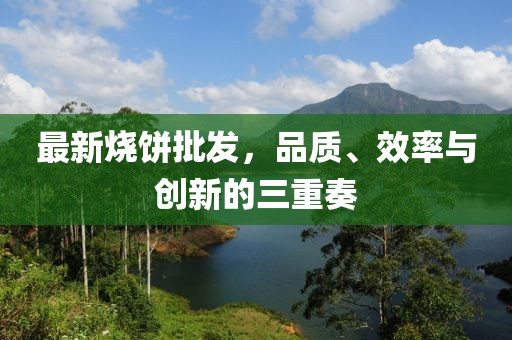 最新烧饼批发，品质、效率与创新的三重奏