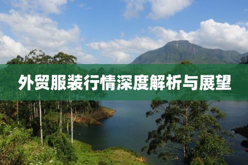 外贸服装行情深度解析与展望