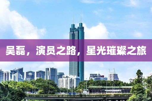 吴磊，演员之路，星光璀璨之旅