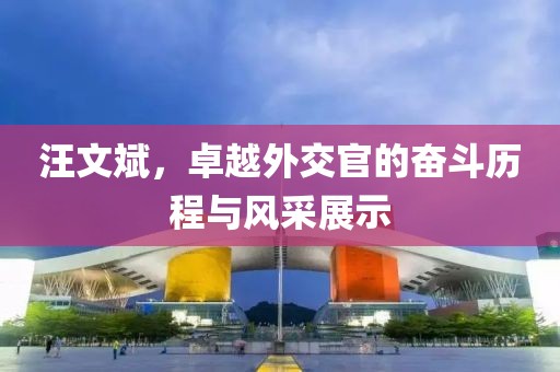 汪文斌，卓越外交官的奋斗历程与风采展示