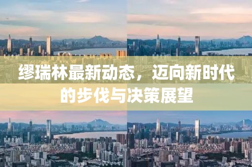 缪瑞林最新动态，迈向新时代的步伐与决策展望