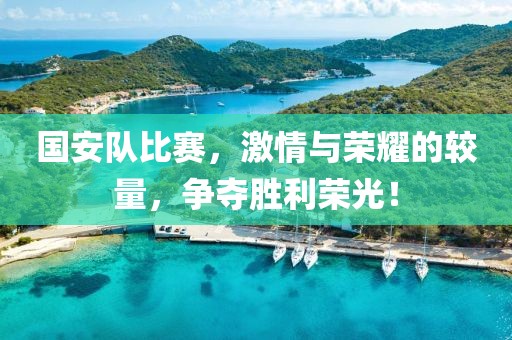 国安队比赛，激情与荣耀的较量，争夺胜利荣光！