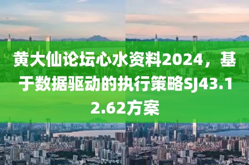 黄大仙论坛心水资料2024，基于数据驱动的执行策略SJ43.12.62方案