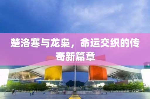 楚洛寒与龙枭，命运交织的传奇新篇章