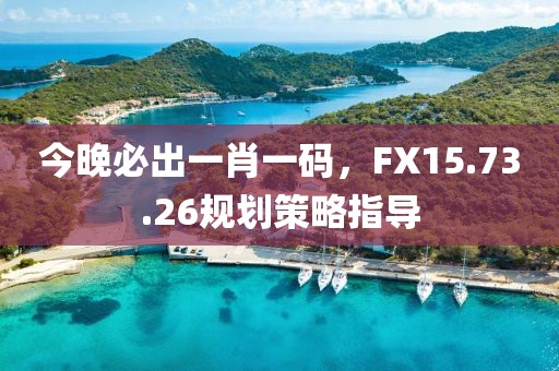 今晚必出一肖一码，FX15.73.26规划策略指导