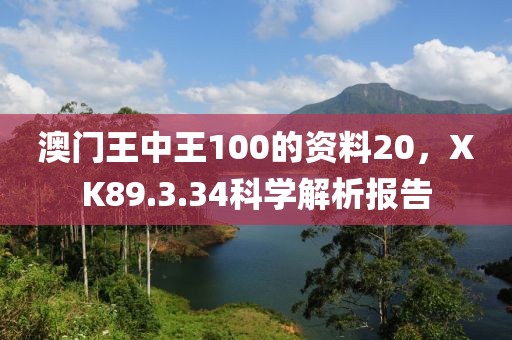 澳门王中王100的资料20，XK89.3.34科学解析报告