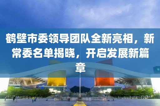 鹤壁市委领导团队全新亮相，新常委名单揭晓，开启发展新篇章