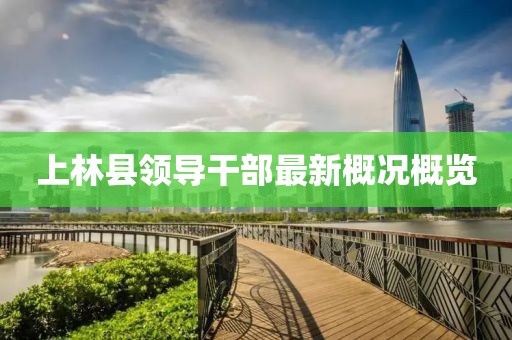 上林县领导干部最新概况概览