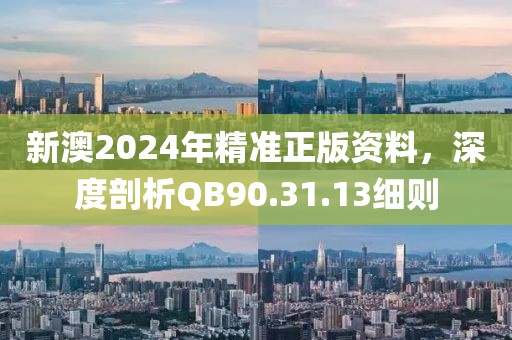 新澳2024年精准正版资料，深度剖析QB90.31.13细则