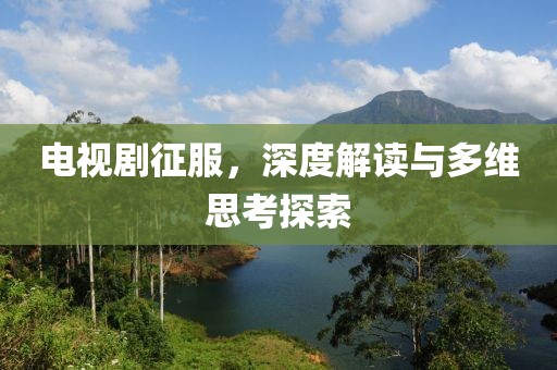 电视剧征服，深度解读与多维思考探索