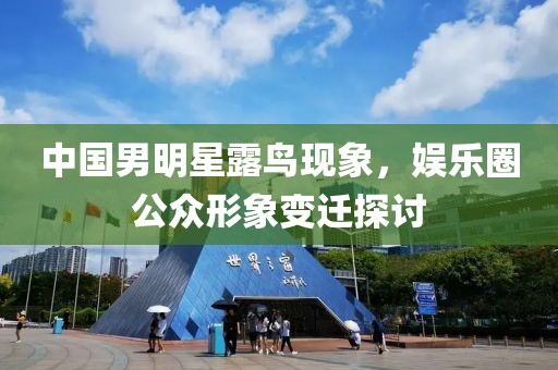 中国男明星露鸟现象，娱乐圈公众形象变迁探讨