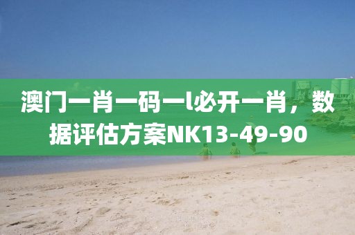 澳门一肖一码一l必开一肖，数据评估方案NK13-49-90
