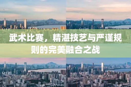 武术比赛，精湛技艺与严谨规则的完美融合之战
