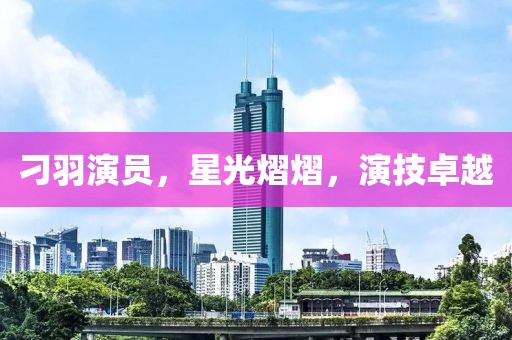 刁羽演员，星光熠熠，演技卓越