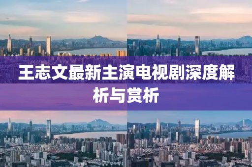 王志文最新主演电视剧深度解析与赏析