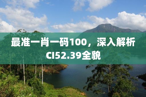 最准一肖一码100，深入解析CI52.39全貌