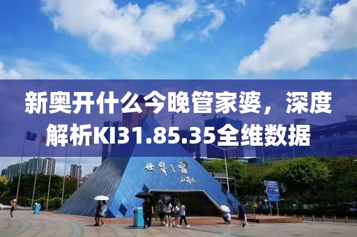 新奥开什么今晚管家婆，深度解析KI31.85.35全维数据
