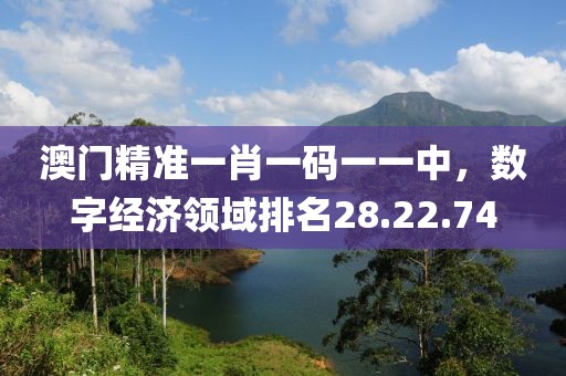 澳门精准一肖一码一一中，数字经济领域排名28.22.74