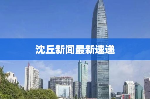 沈丘新闻最新速递