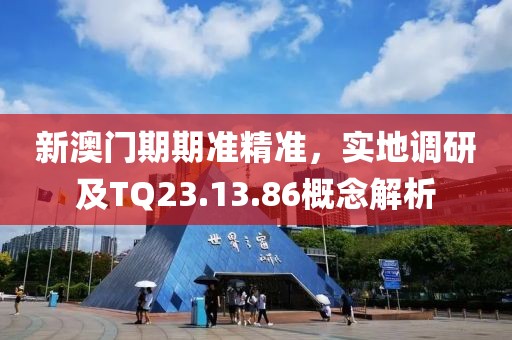 新澳门期期准精准，实地调研及TQ23.13.86概念解析