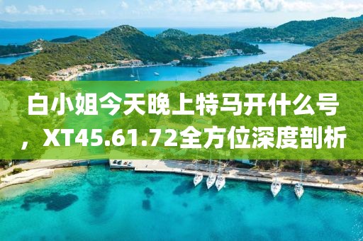 白小姐今天晚上特马开什么号，XT45.61.72全方位深度剖析