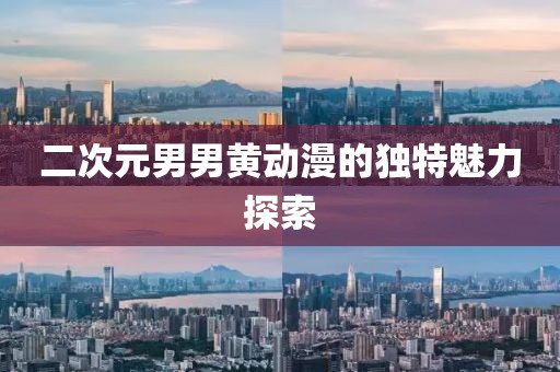 二次元男男黄动漫的独特魅力探索