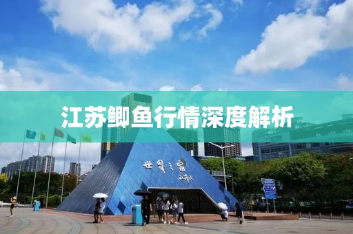 江苏鲫鱼行情深度解析