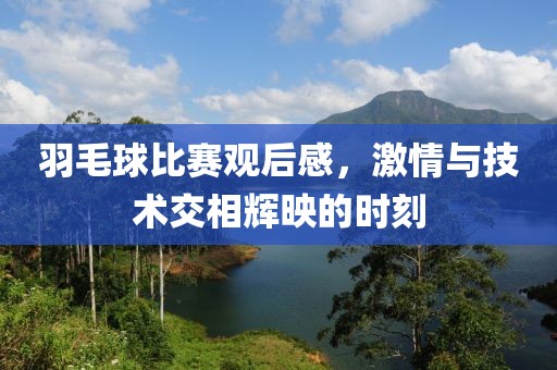 羽毛球比赛观后感，激情与技术交相辉映的时刻