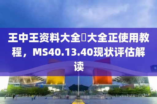 王中王资料大全枓大全正使用教程，MS40.13.40现状评估解读