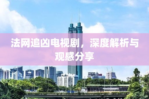 法网追凶电视剧，深度解析与观感分享